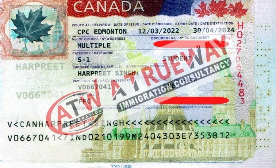 visa consulting
