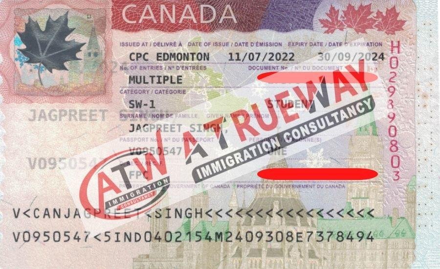 visa consulting