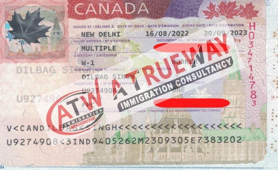 visa consulting